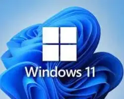 windows 11